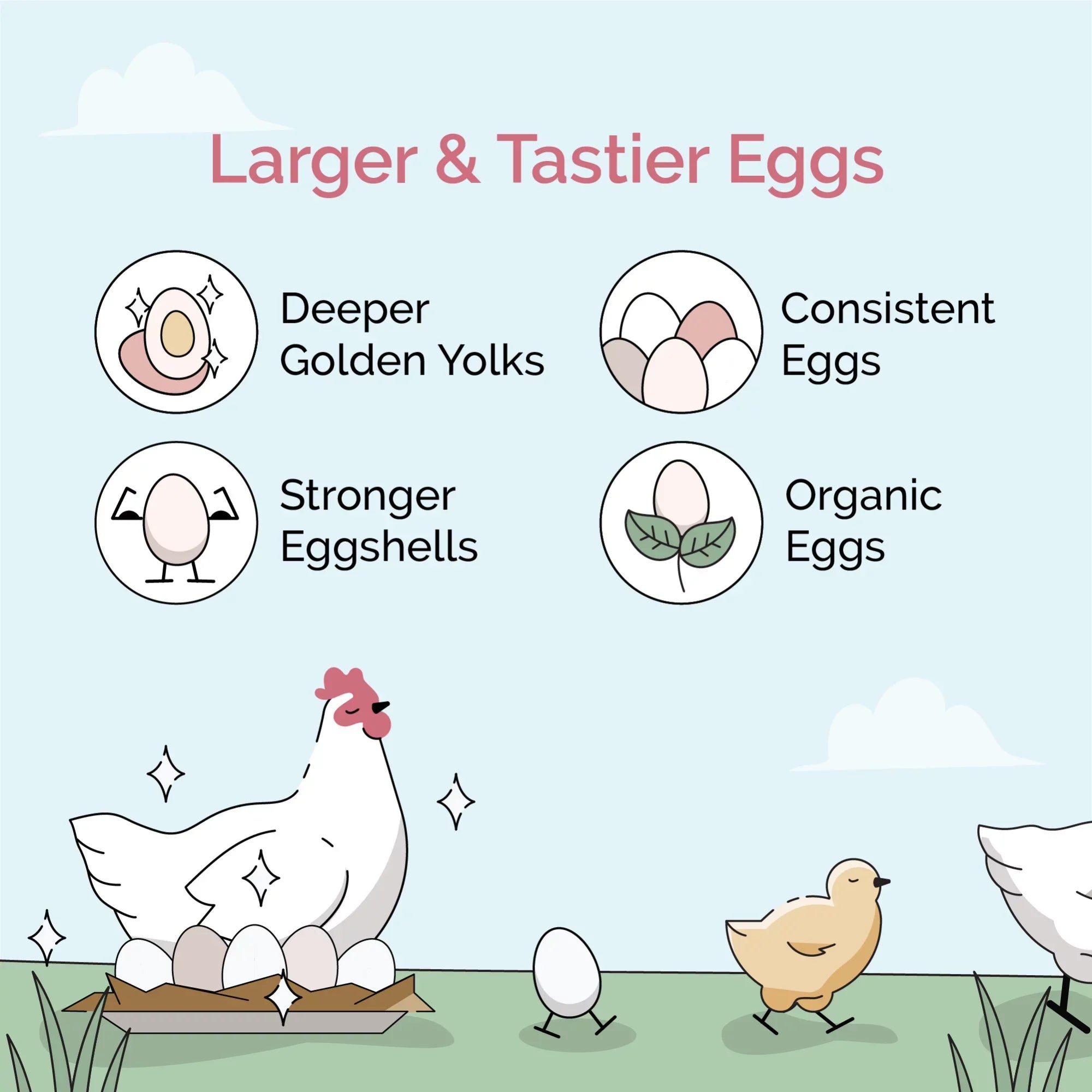 Mile Four | Grower Organic Chicken Feed | 100% US Grown Grains, Certified Organic, Certified Non-GMO, Corn-Free, Soy-Free, Non-Medicated Chicken Food | 18% Protein | Whole Grain | 46 lbs.