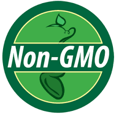Oat Bran 10 Pounds (Ten lbs) USDA Certified Organic, Non-GMO, Bulk by Mulberry Lane Farms