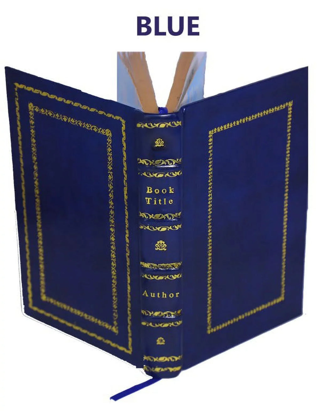 Topografia univerpromotion della cittA di Napoli in Campagna Felice e note enciclopediche storiografiche di Niccolo Carletti ... 1776 [Premium Leather Bound]