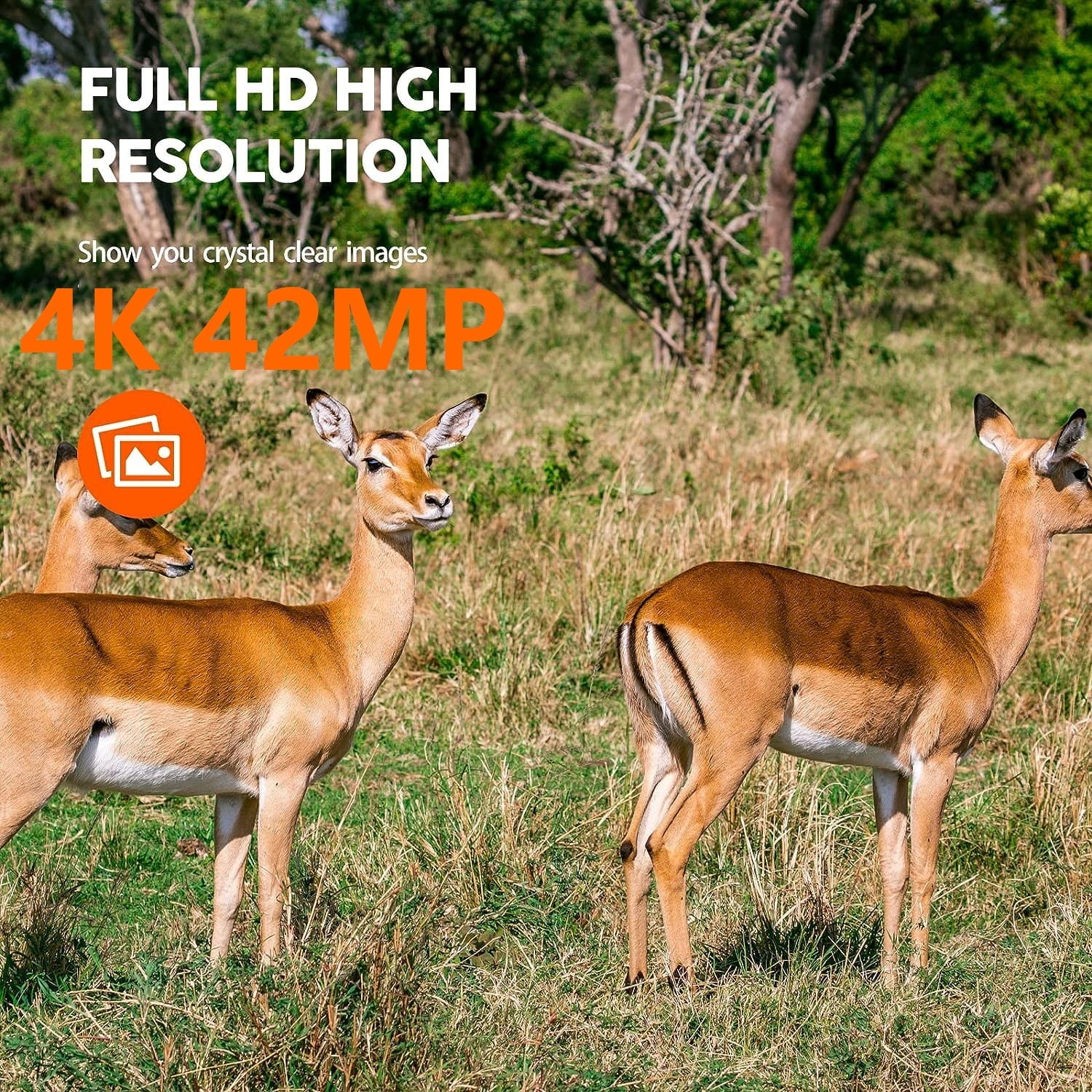 CAMPARK WiFi Trail Game Camera 4K 42MP Bluetooth Hunting Deer Camera with 3PIR Sensor Infrared Night Vision Waterproof IP66 0.2s Trigger 2.4" LCD Trail Cam for Wildlife Monitoring