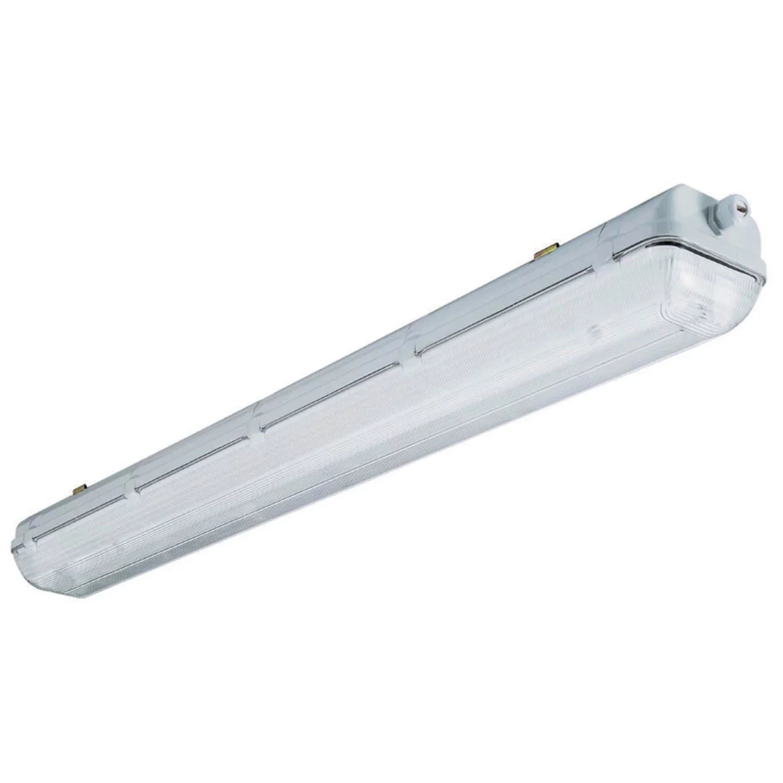 Lithonia Lighting 4ft. Enclosed Wet Light Fluorescent Fixture