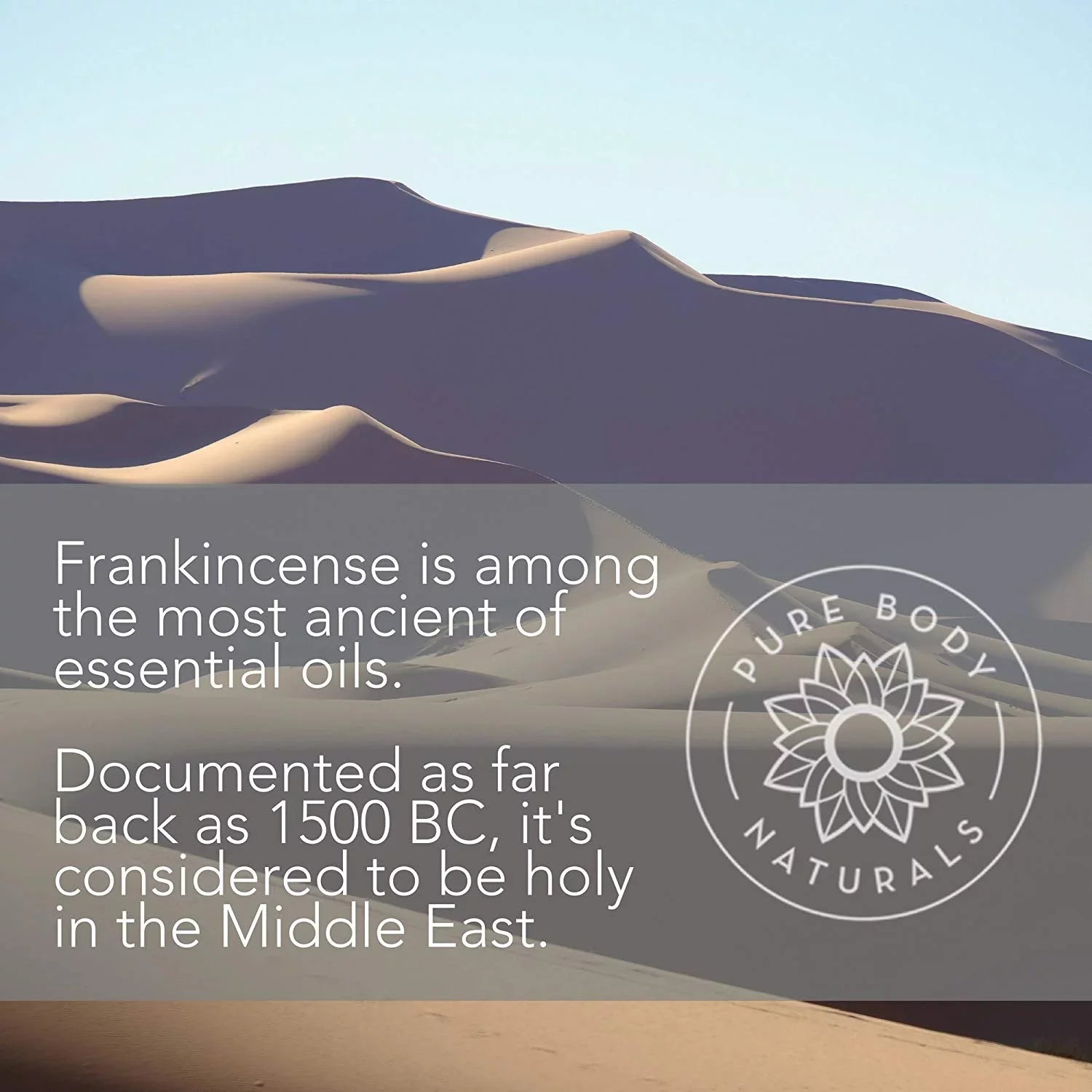 Frankincense Essential Oil for Diffuser and Skin, Stress Relief, Meditation and Yoga, by Pure Body Naturals, 4 Ounce