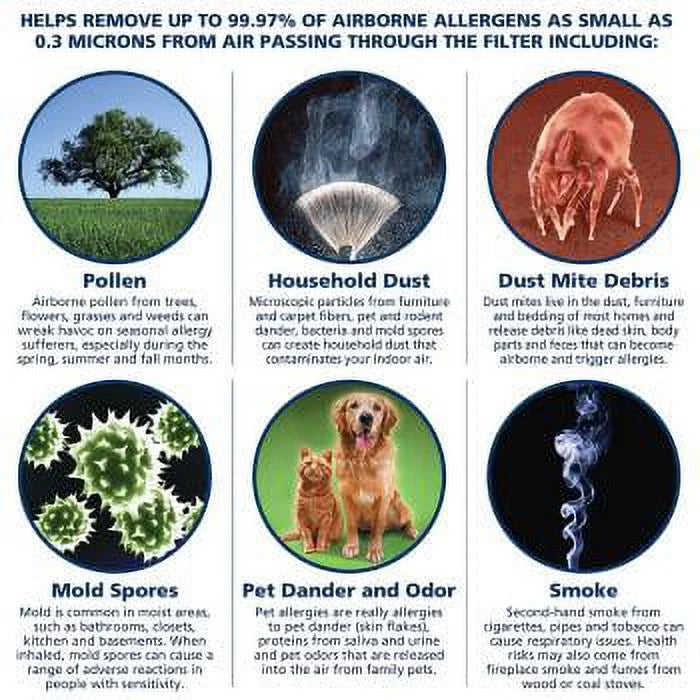 PuroLatitudeor P1200 Air Filter (2-Pack), 16x25x3 - Replacement for TRION Air Bear Cub