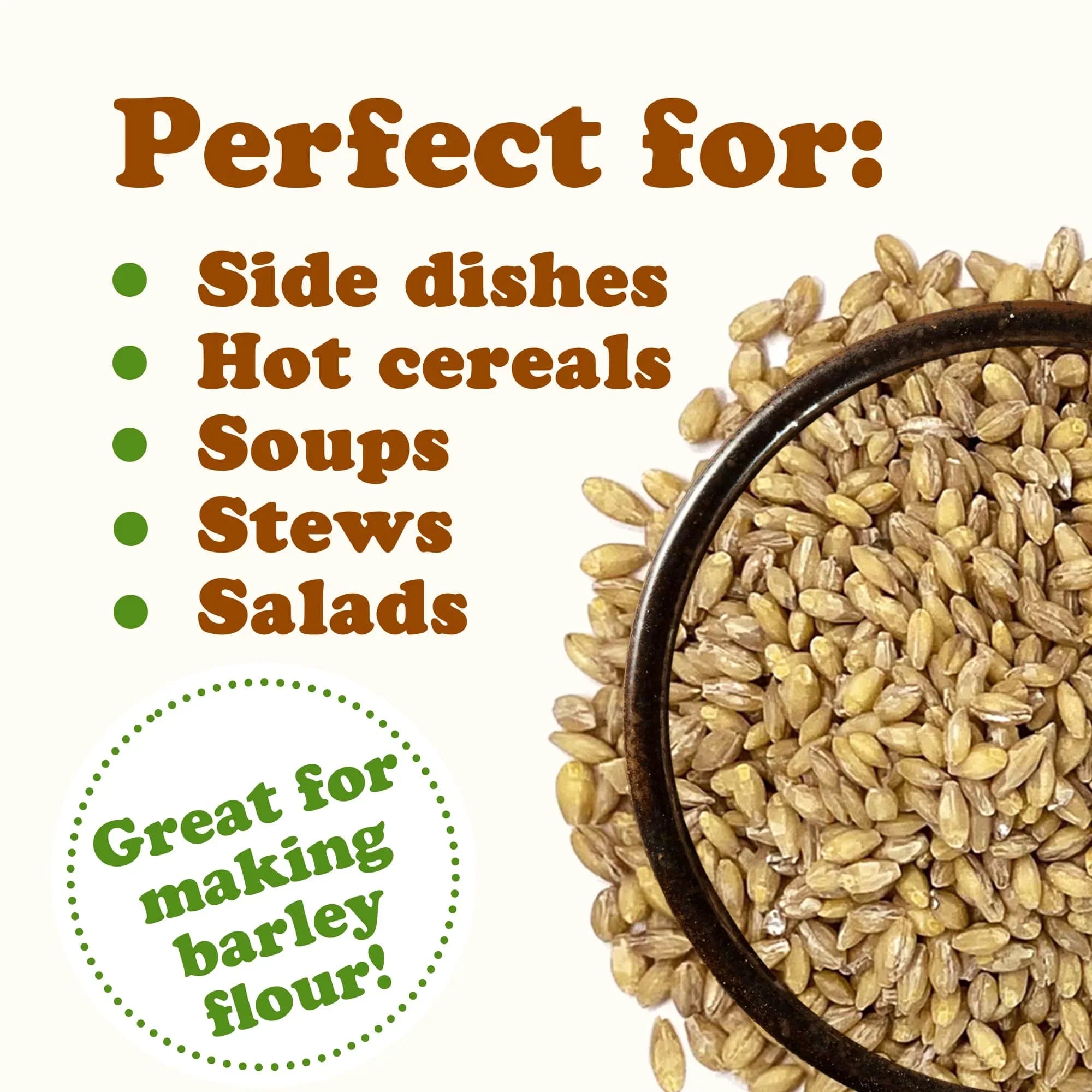 Hulled Barley, 10 Pounds — Raw, Vegan — by Food to Live