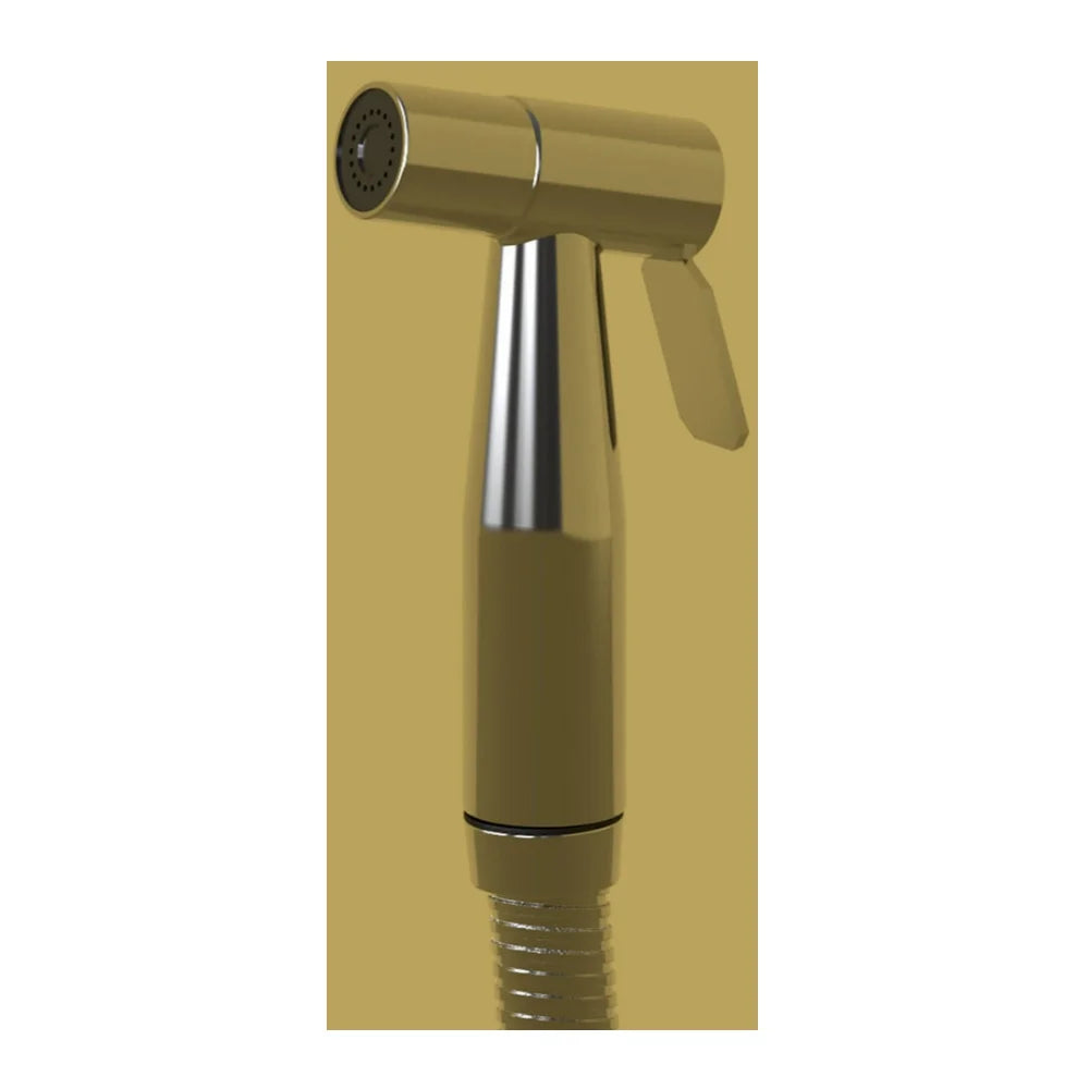 Brondell CleanSpa Luxury Stainless Steel Hand-held Bidet in Silver, All InstalLatitudeion Parts Included
