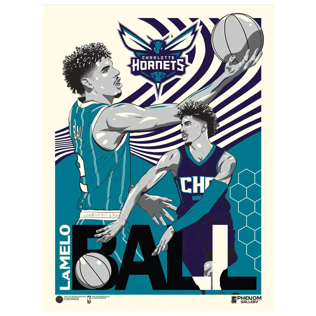 Phenom Gallery LaMelo Ball Charlotte Hornets 18'' x 24'' Serigraph