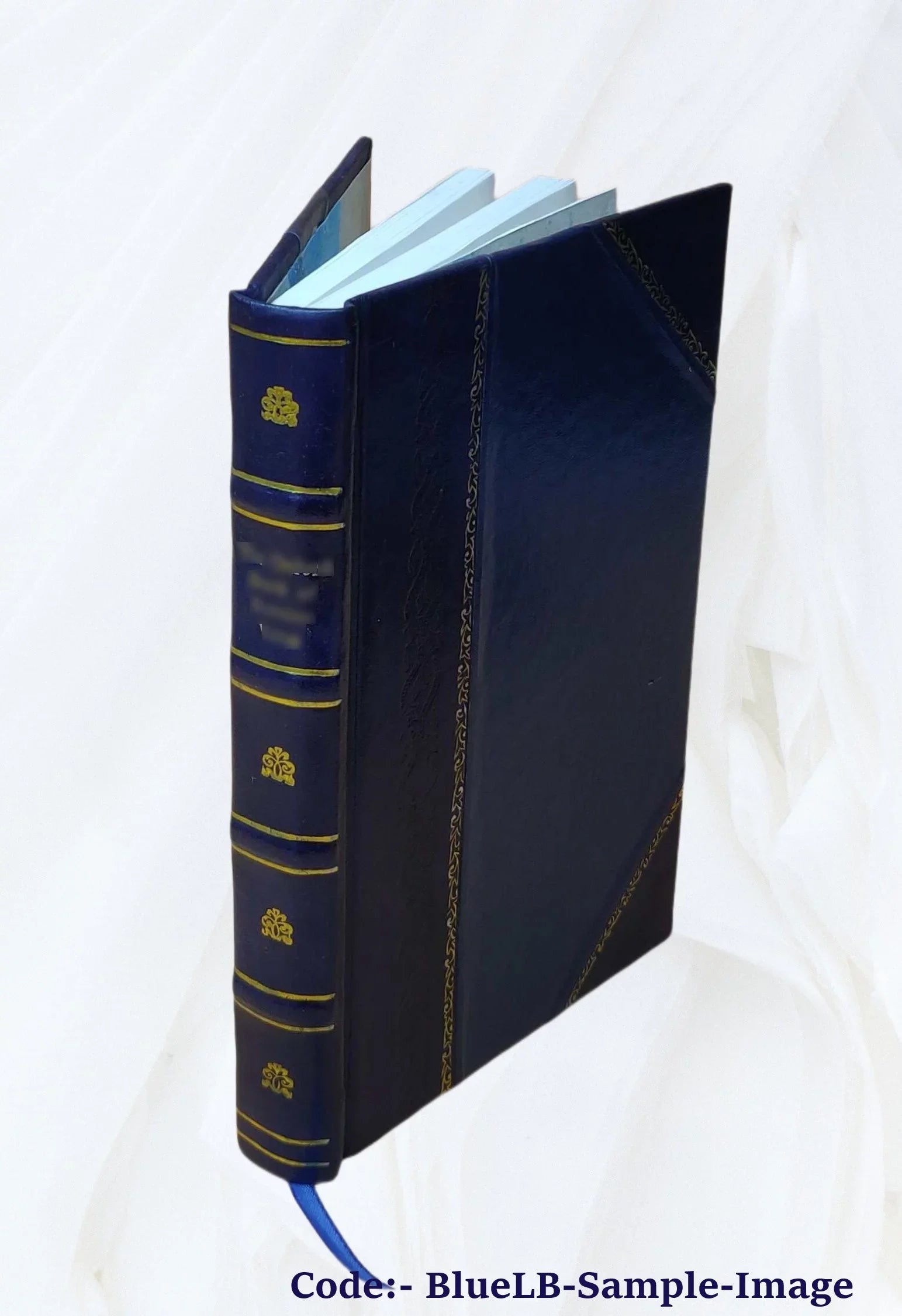 L'oncle Philibert / S. Brandy ; illustrations par Adrien Marie 1888 [Leather Bound]