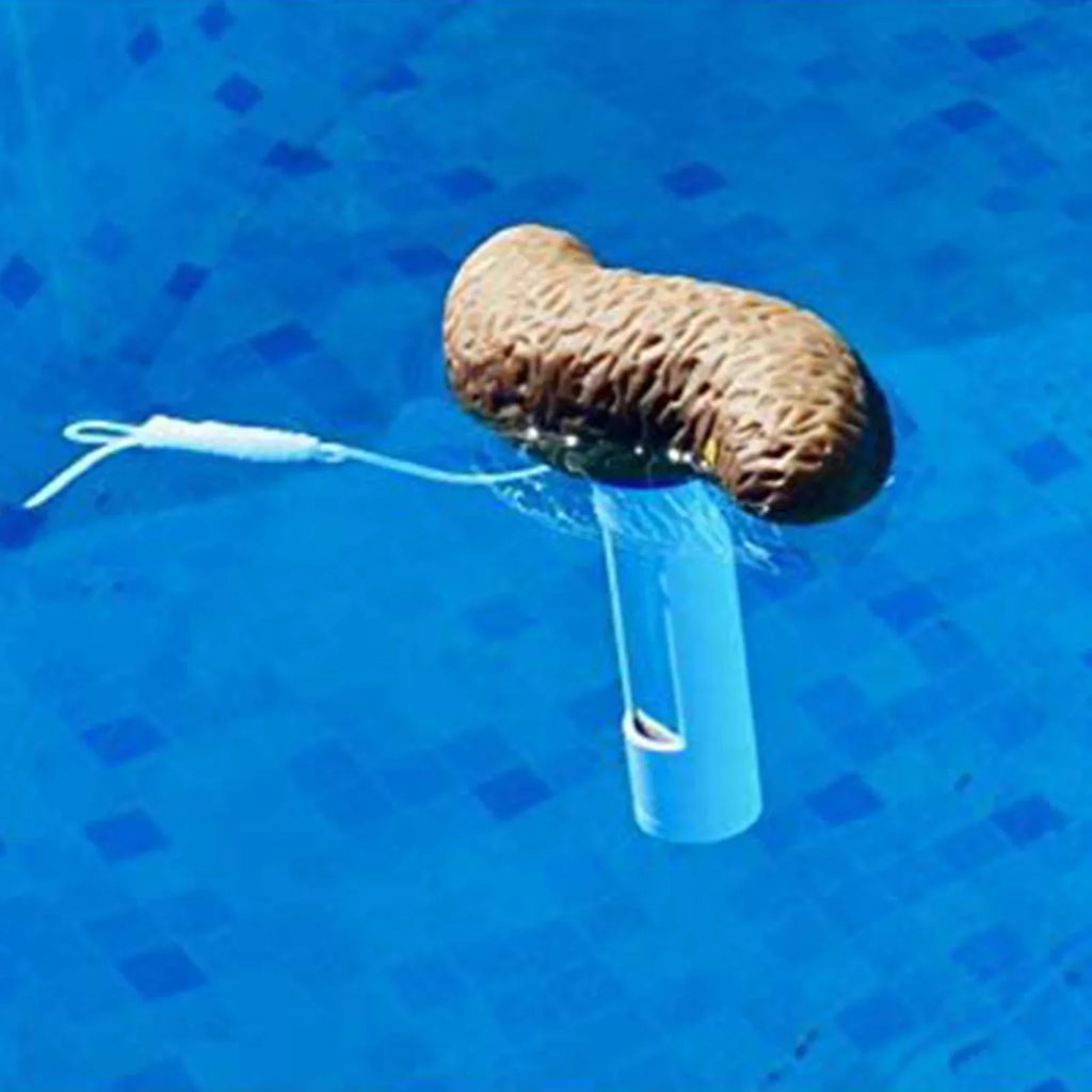 ILJNDTGBE Funny Poop Shaped Floating Pool With Accurate Temperature Display Hilarious Novelty Bathing Accessory For Kids & Adults Pool Party Gift Idea 100ml