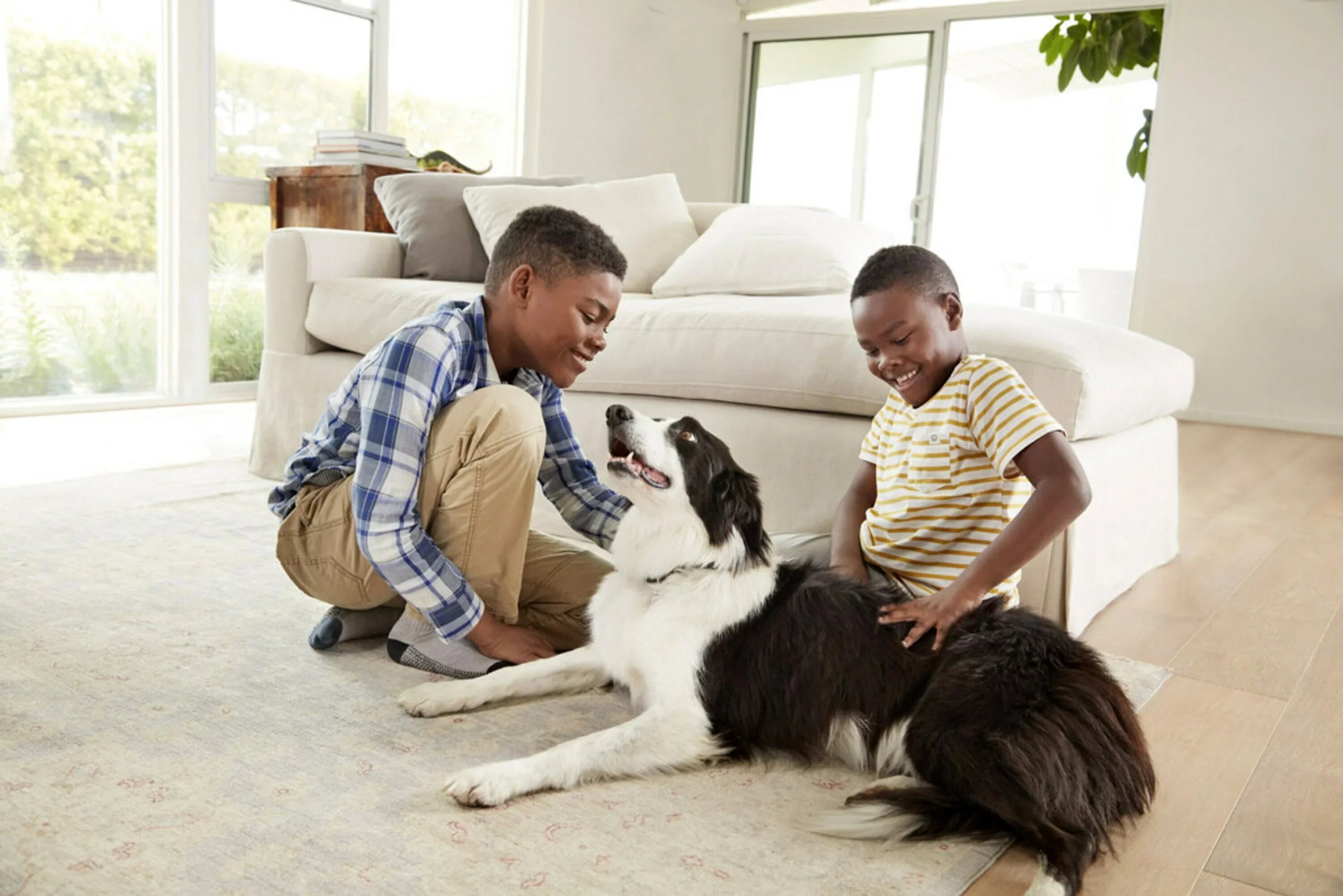 Filtrete Smart 20 x 25 x 1 inch Premium Allergen & Home Pollutants HVAC Air and Furnace Filter, 2200 MPR, 1 Filter
