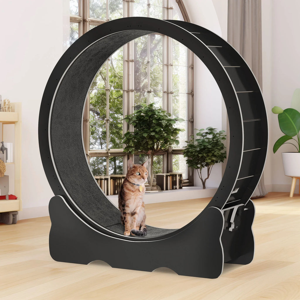Dextrus Cat Wheel Exerciser for Indoor Cats, 43.3 inch Large Cat Exercise Running Wheel Treadmill with Ultra Low Noise and Detachable Carpet for Cat's Fitness and Health