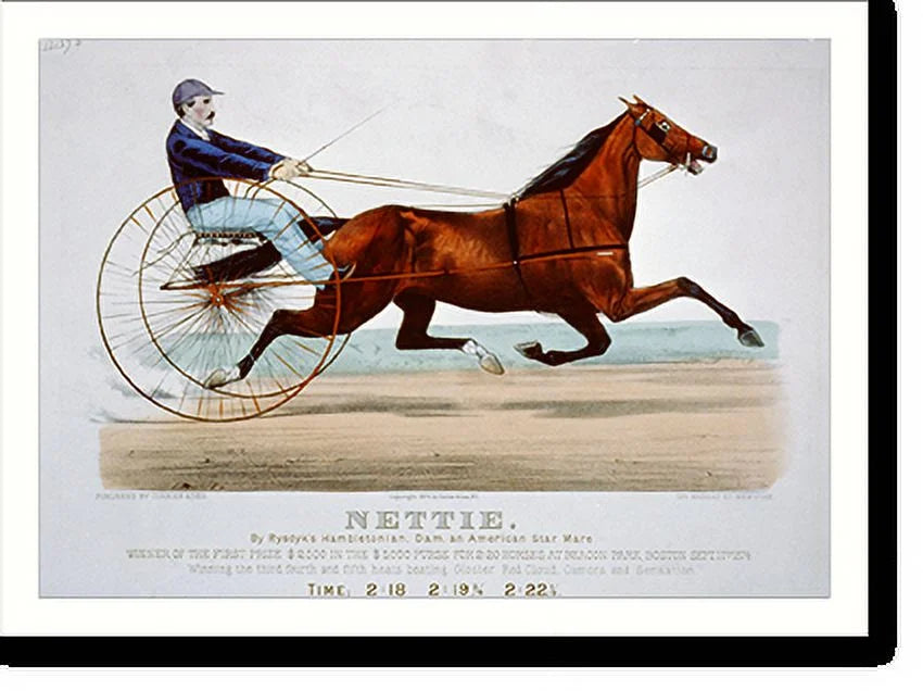 Historic Framed Print, Nettie: by Rysdyk's Hambletonian, dam, and American star mare, 17-7/8" x 21-7/8"