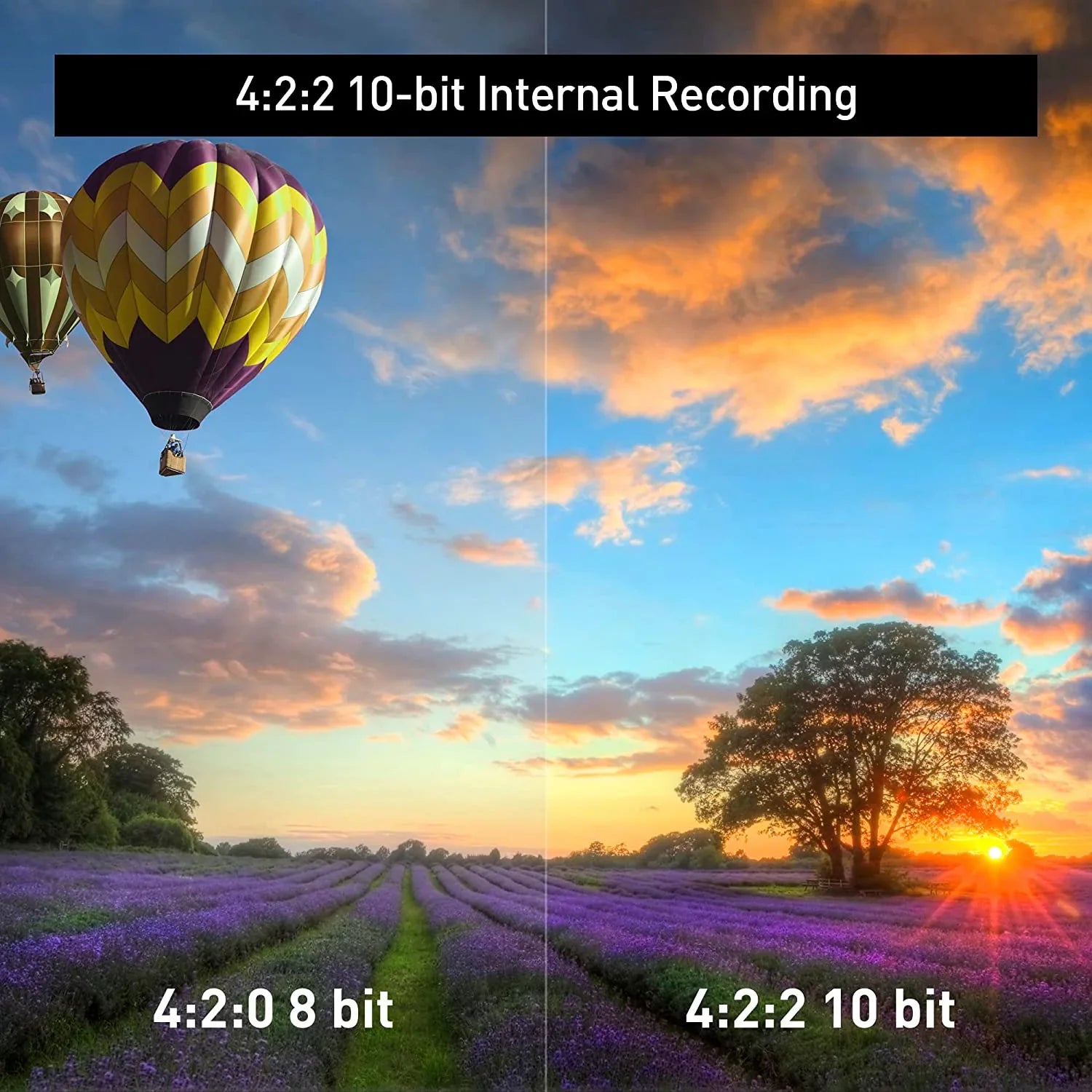 HC-X2 4K UHD 1" Sensor Professional Camcorder