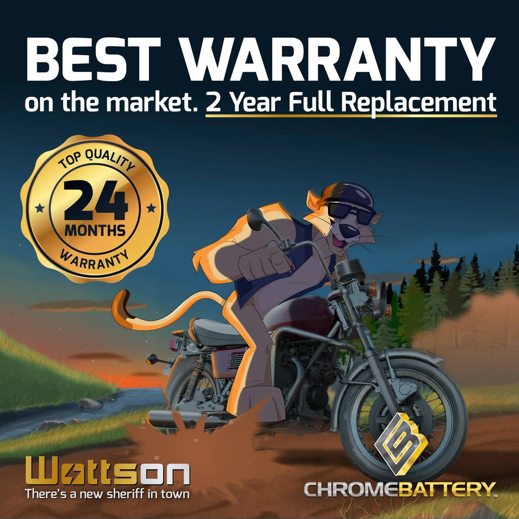 Chrome Battery Yt14b-bs (14b-bs 12 Volts,12 Ah, 135 Cca) Motorcycle Battery for Hyosung Gv650, Se Year (09-13)