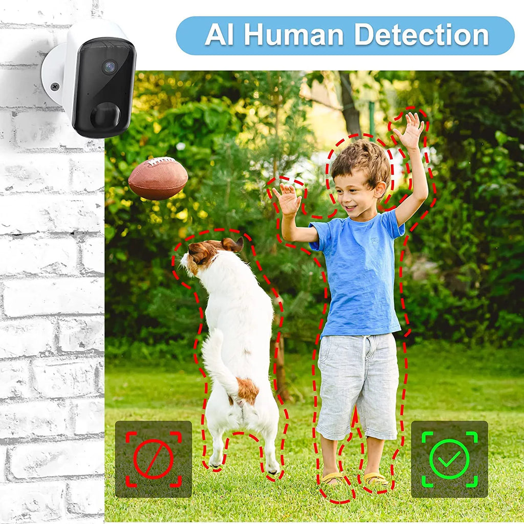 LaView N20 Security Wireless Camera System