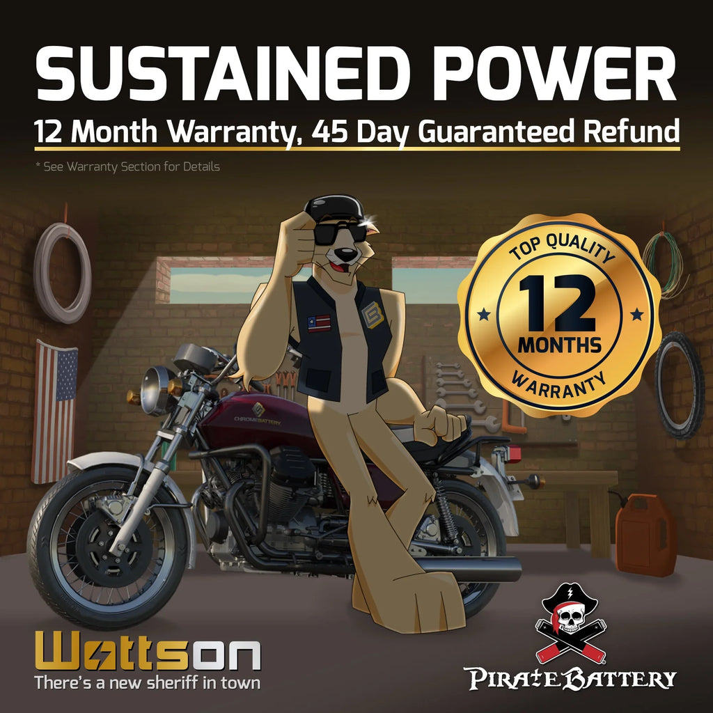 Pirate Battery YTX12-BS (12-BS 12 Volt,10 Ah, 180 CCA) Motorcycle Battery for Suzuki 1200cc Gsf1200 S Bandit 1998