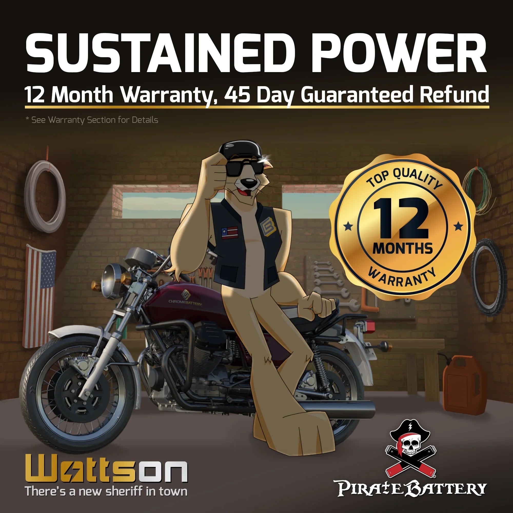 Pirate Battery YTX12-BS (12-BS 12 Volt,10 Ah, 180 CCA) Motorcycle Battery for Suzuki 1200cc Gsf1200 S Bandit 1998