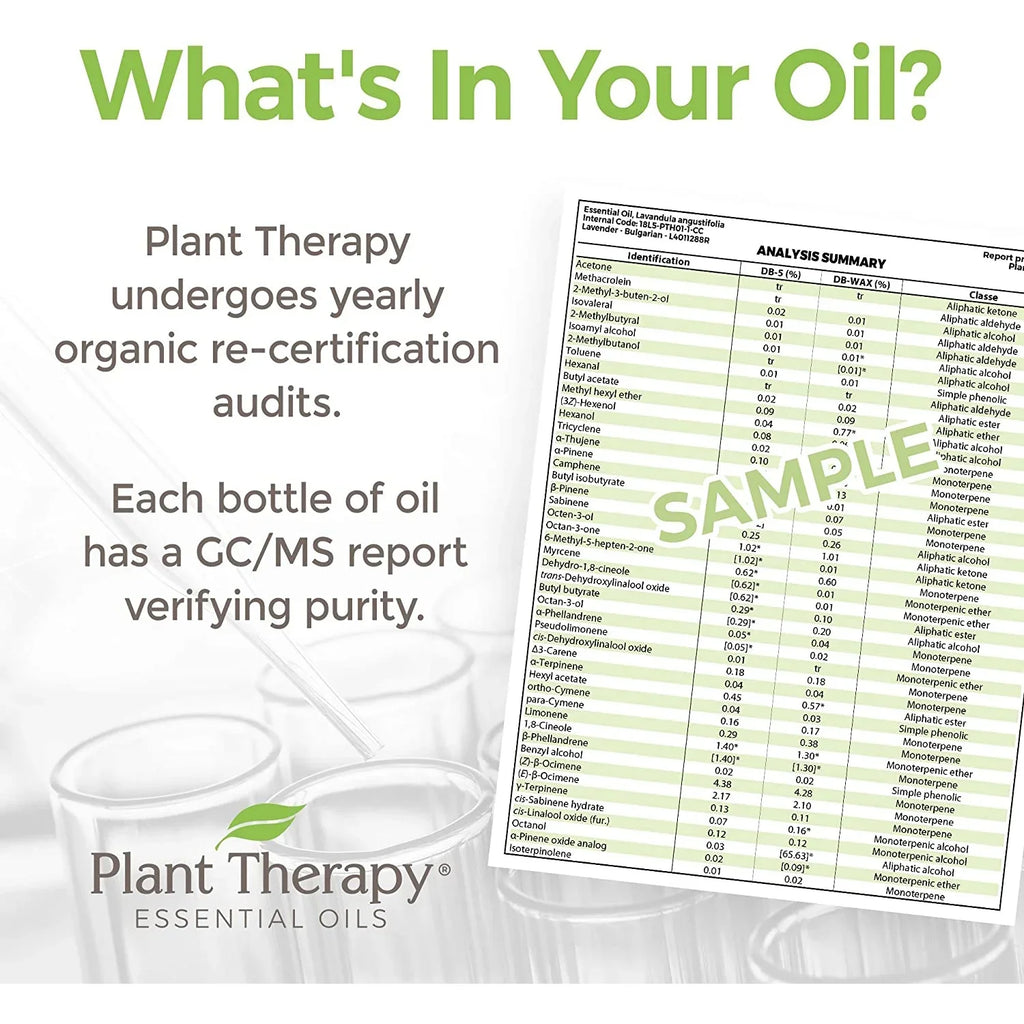Plant Therapy KidSafe Nighty Night Essential Oil Blend for Sleep 30 mL (1 oz) 100% Pure, Undiluted, Natural Aromatherapy