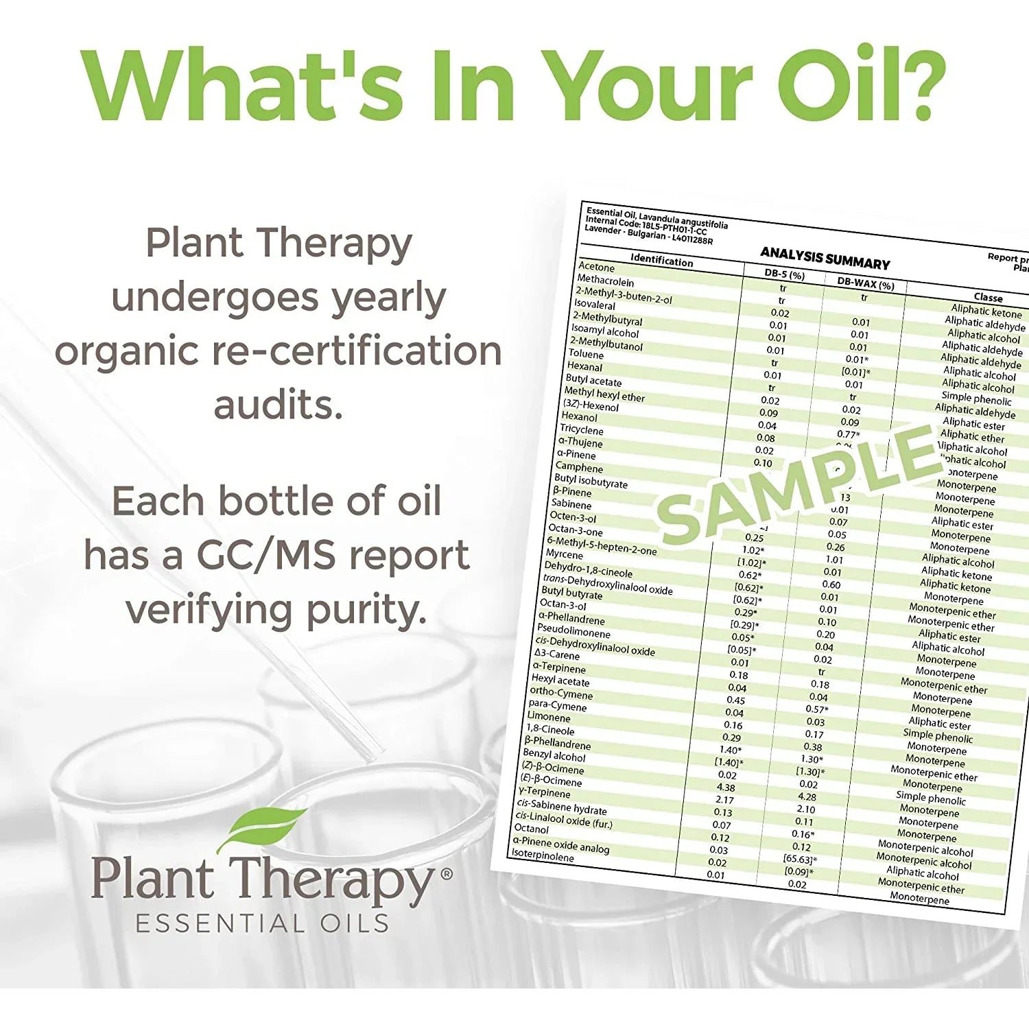 Plant Therapy KidSafe Nighty Night Essential Oil Blend for Sleep 30 mL (1 oz) 100% Pure, Undiluted, Natural Aromatherapy