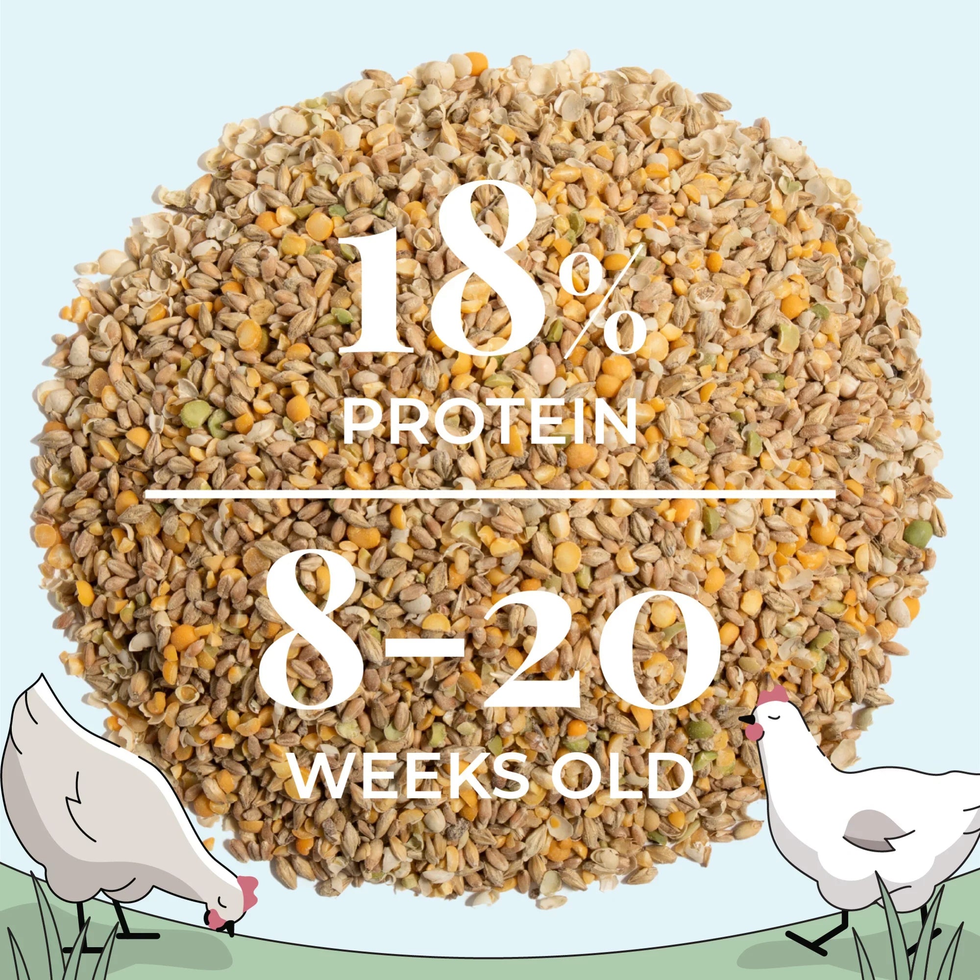 Mile Four | Grower Organic Chicken Feed | 100% US Grown Grains, Certified Organic, Certified Non-GMO, Corn-Free, Soy-Free, Non-Medicated Chicken Food | 18% Protein | Whole Grain | 46 lbs.
