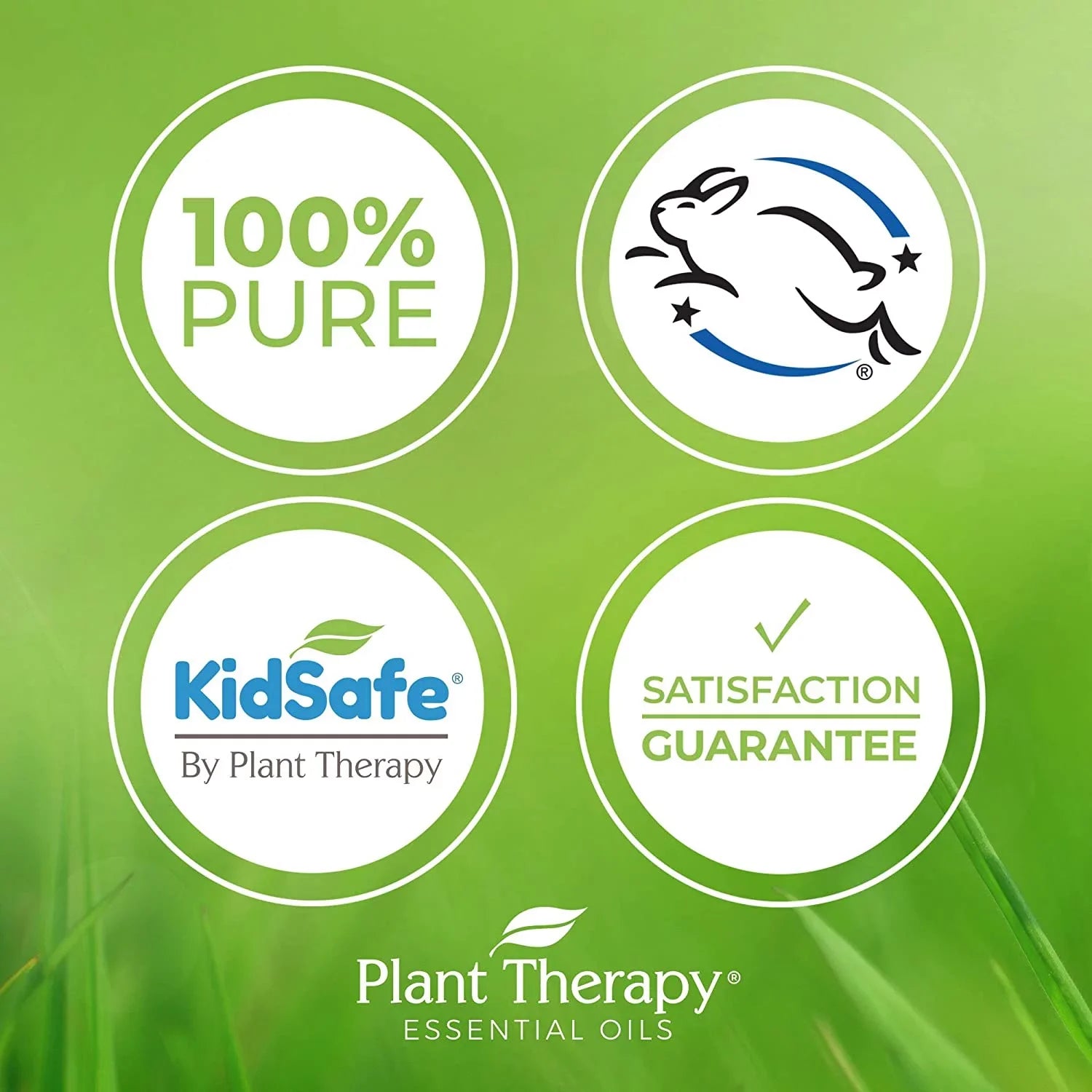 Plant Therapy KidSafe Nighty Night Essential Oil Blend for Sleep 30 mL (1 oz) 100% Pure, Undiluted, Natural Aromatherapy