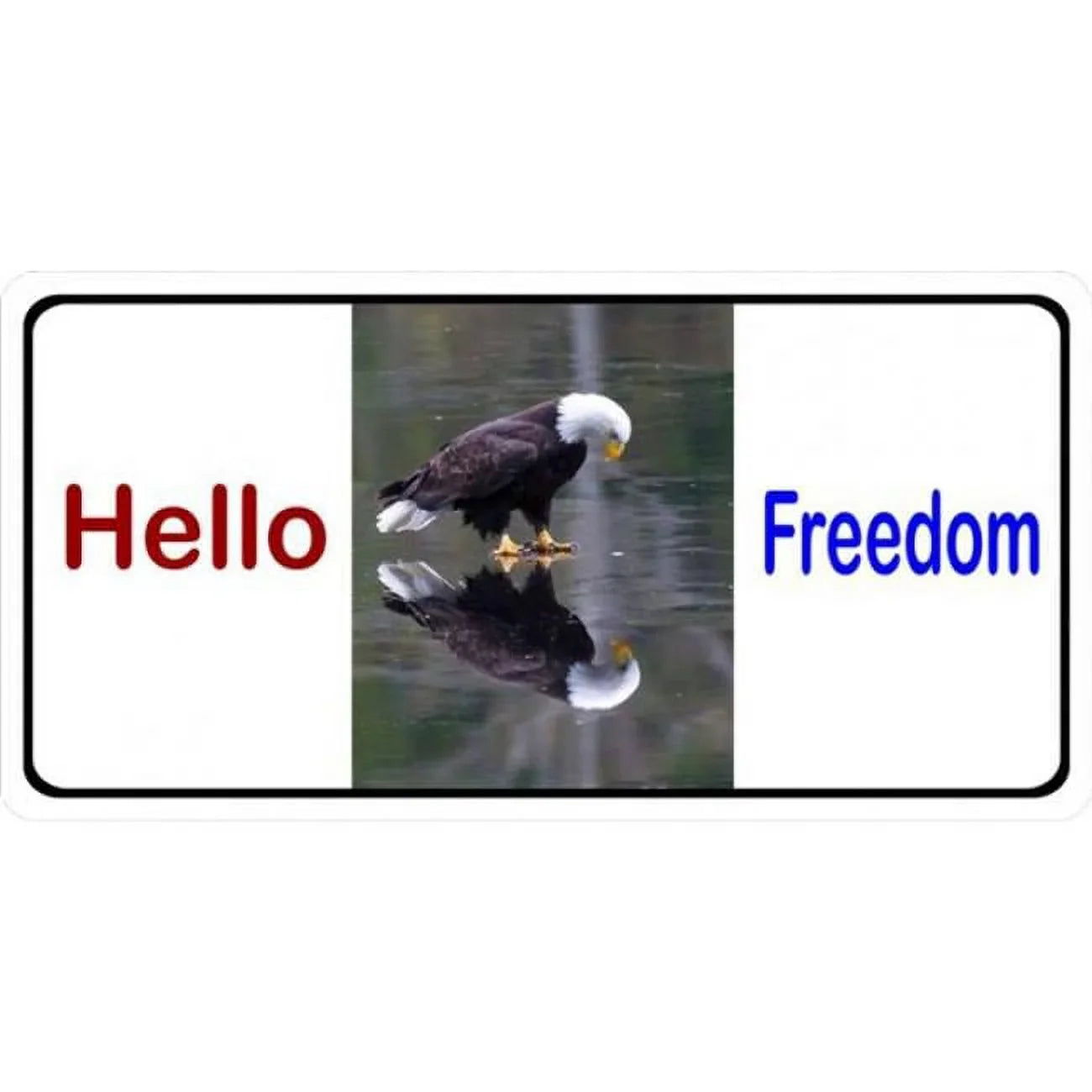 212 Main LPO1920 6 x 12 in. Hello Freedom with Eagle Photo License PLatitudee