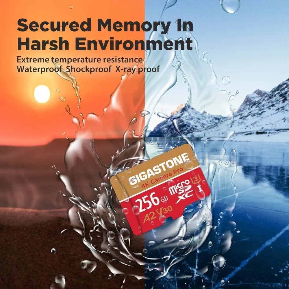 Gigastone 256GB Micro SD Card, 4K Video Recording, 4K Camera Pro, compatible with Nintendo Switch, Dash Cam, GoPro Cameras, R/W up to 100/50 MB/s, Micro SDXC UHS-I A1 V30 Class 10, 2 Pack (2x256GB)