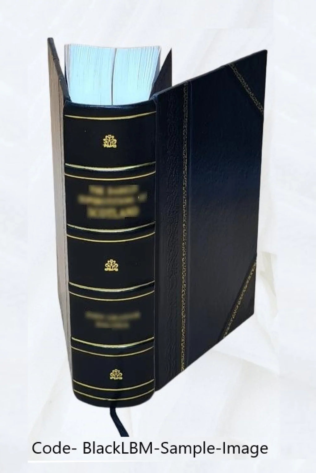The Mask Volume v.8-11 1918-1925 1925 [Leather Bound]