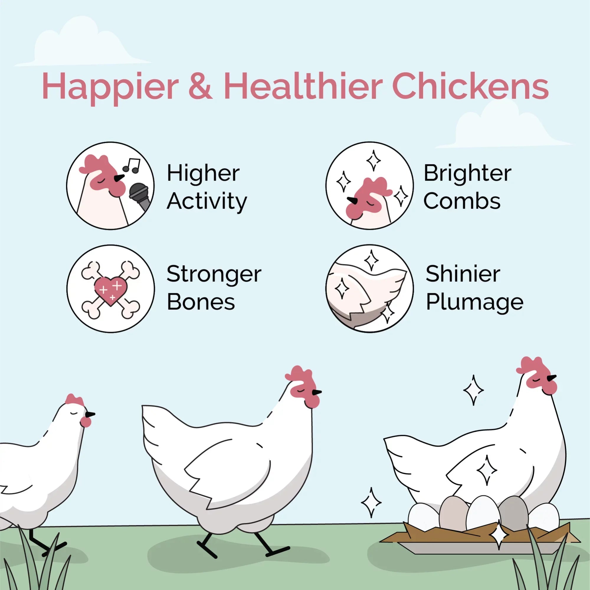 Mile Four | Grower Organic Chicken Feed | 100% US Grown Grains, Certified Organic, Certified Non-GMO, Corn-Free, Soy-Free, Non-Medicated Chicken Food | 18% Protein | Whole Grain | 46 lbs.