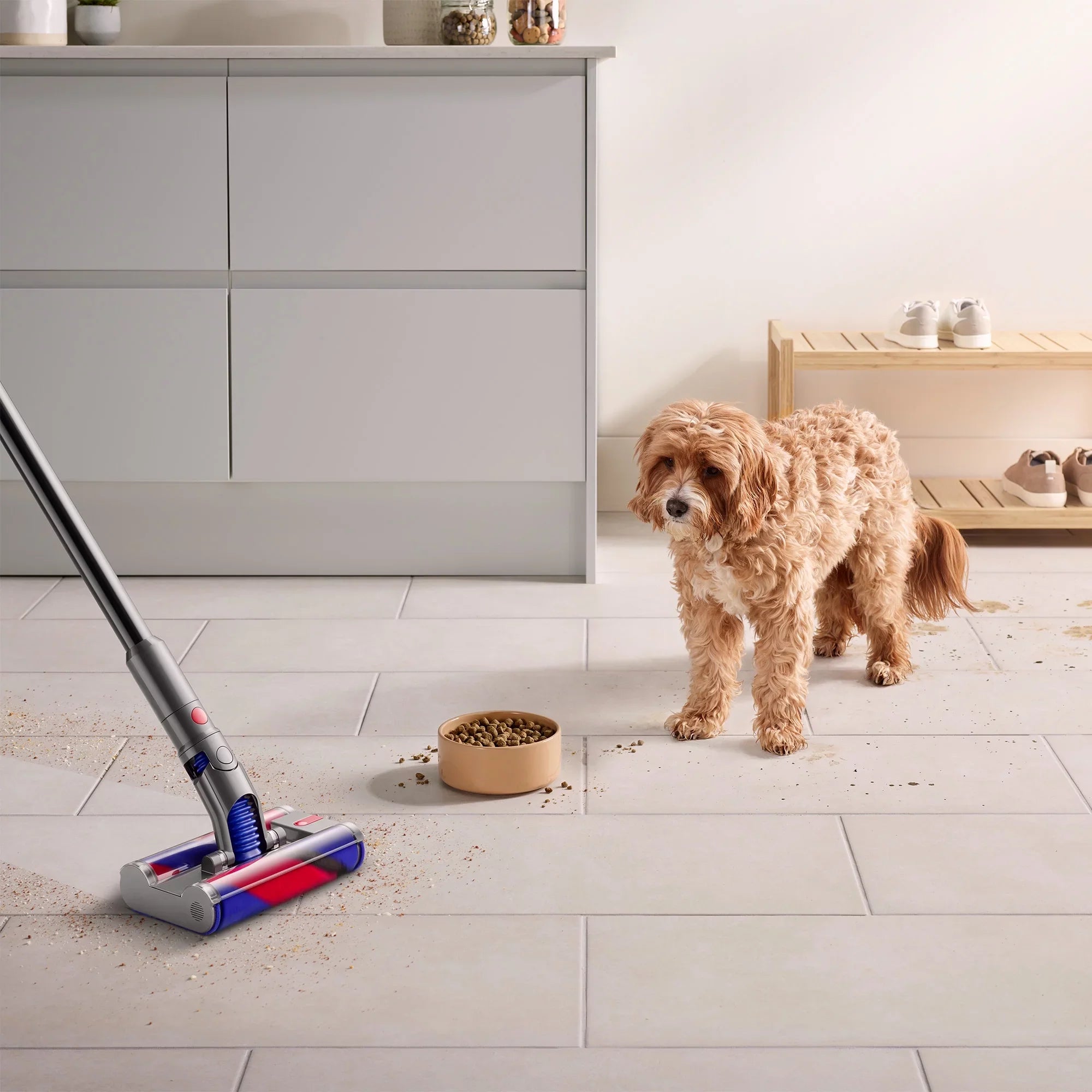Dyson Omni-Glide+ Cordless Vacuum | Gold | New