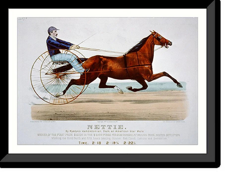 Historic Framed Print, Nettie: by Rysdyk's Hambletonian, dam, and American star mare, 17-7/8" x 21-7/8"