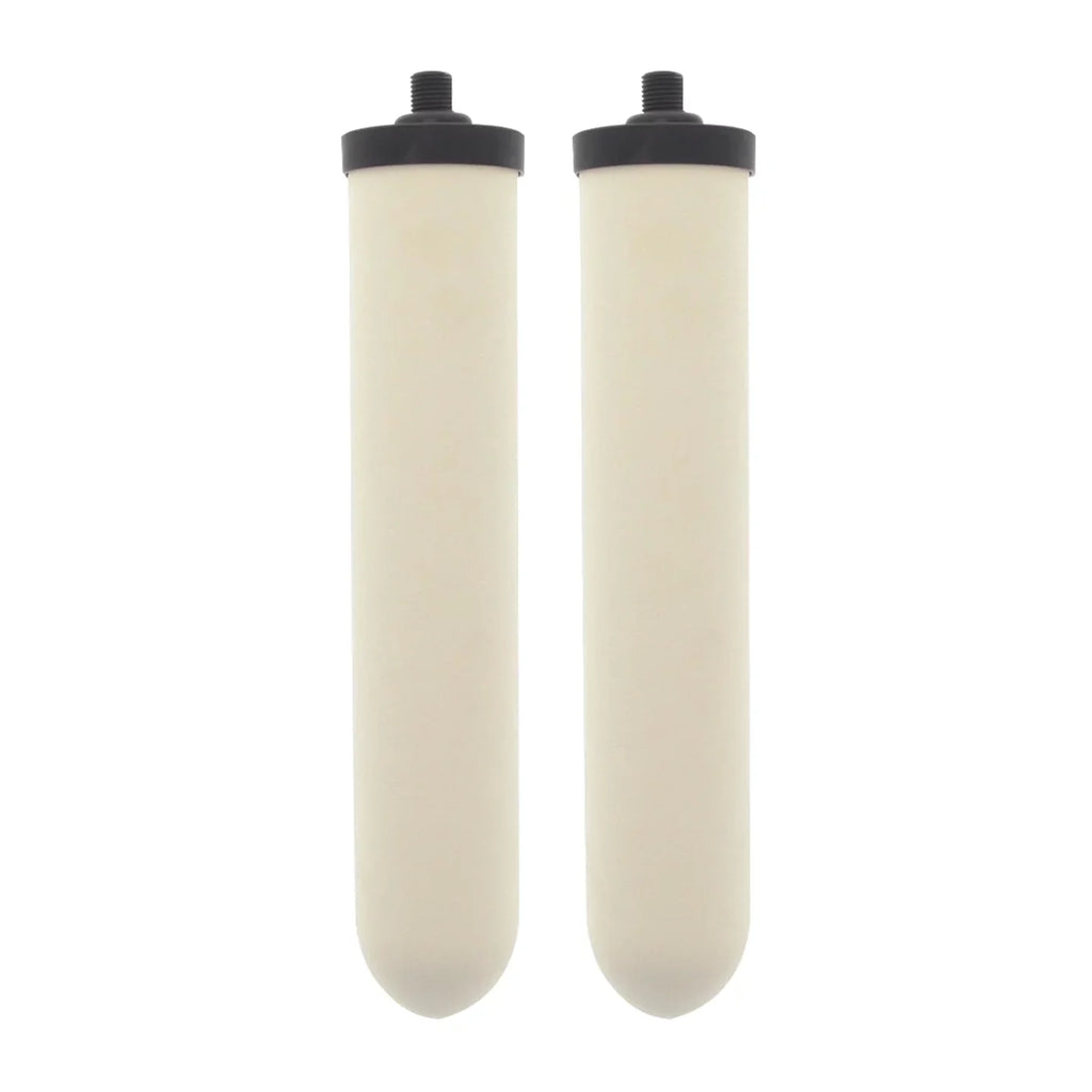 Doulton W9123053 UltraCarb 10 Inch Ceramic Candle Filter Cartridge (2 PACK)