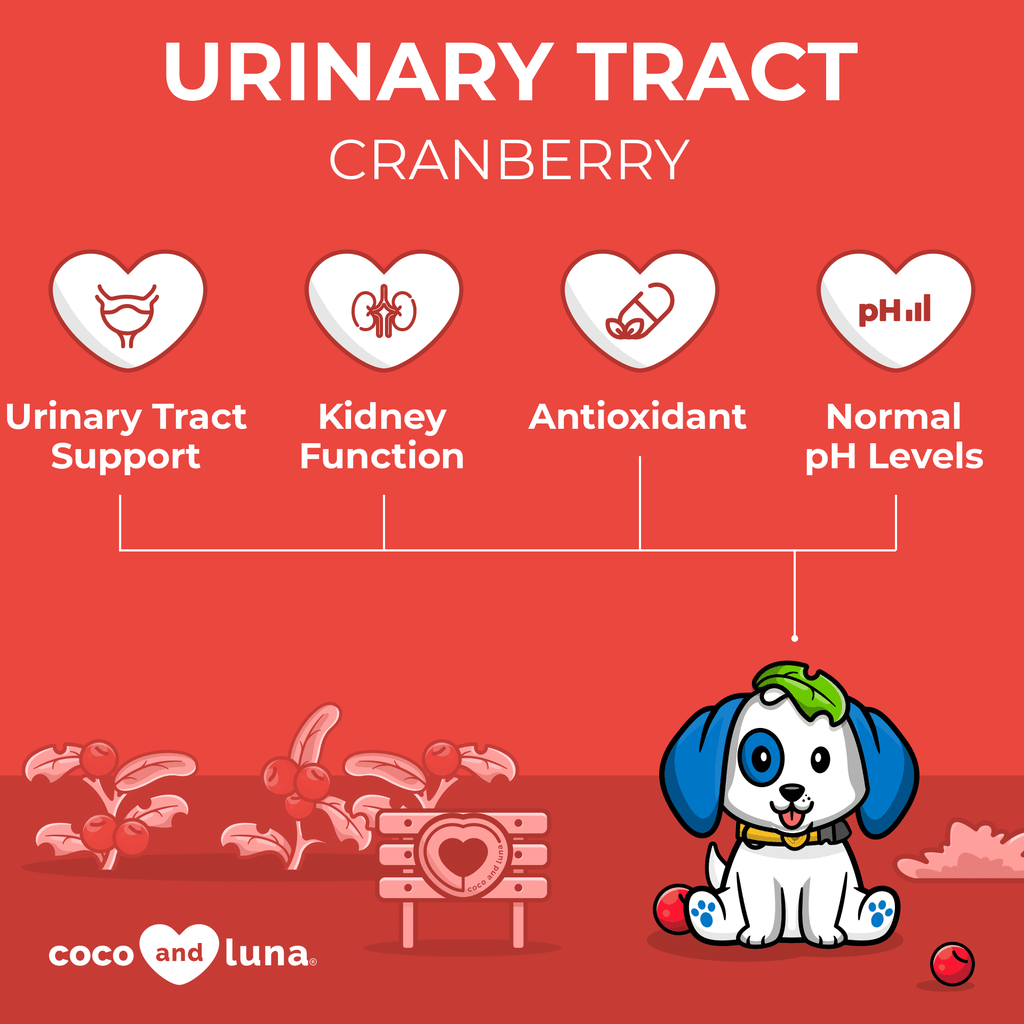 Coco and Luna Urinary Tract Support for Dogs - 300 Chewable Tablets