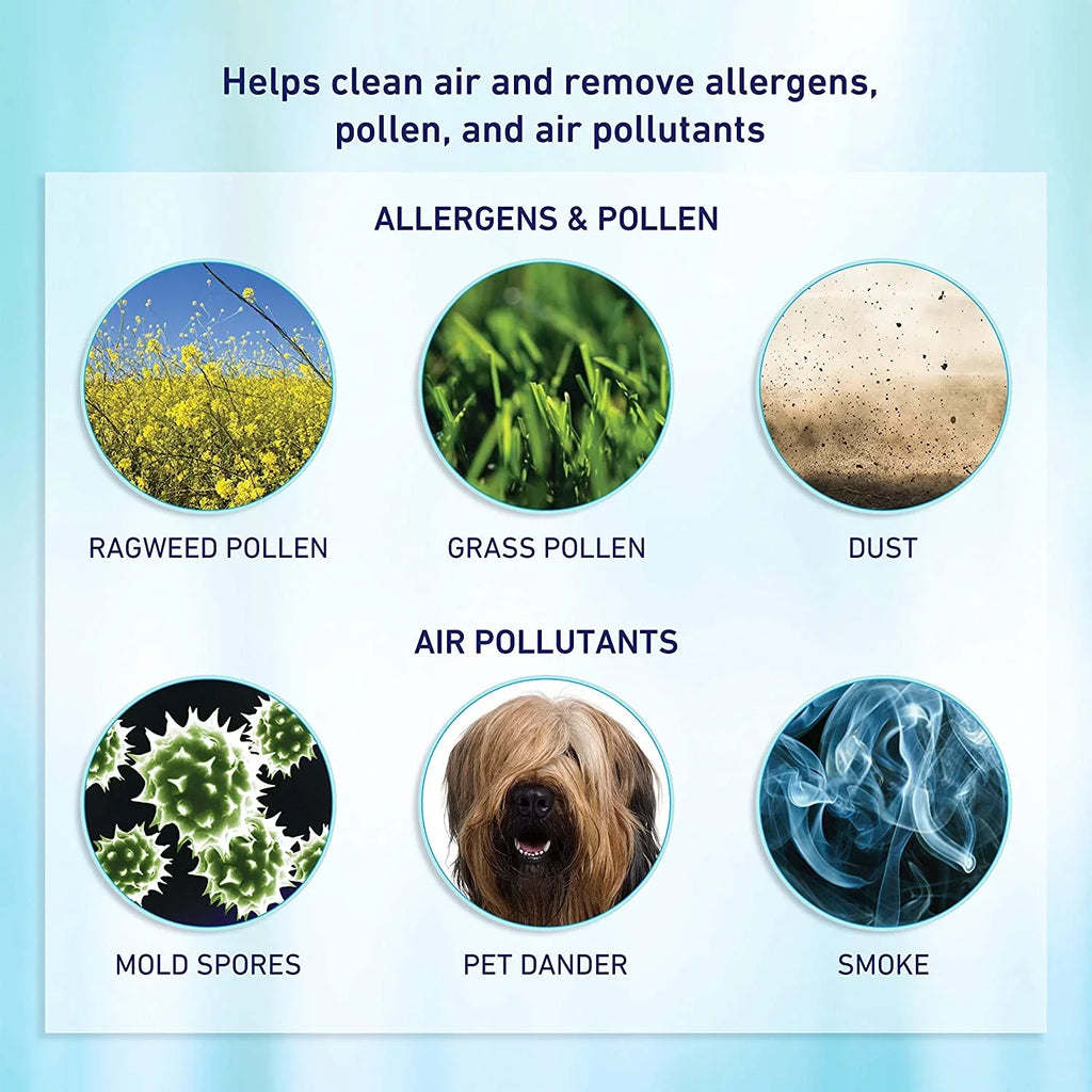Bionaire® aer1 Allergen-Remover True HEPA Air Filter, 2-Pack