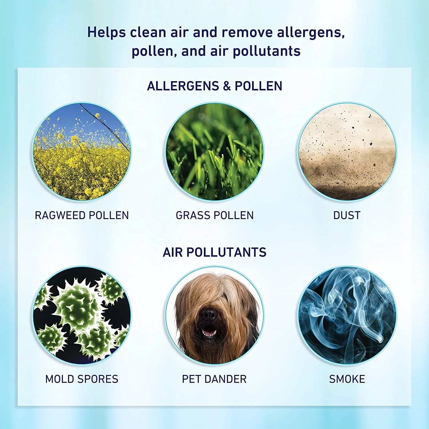 Bionaire® aer1 Allergen-Remover True HEPA Air Filter, 2-Pack