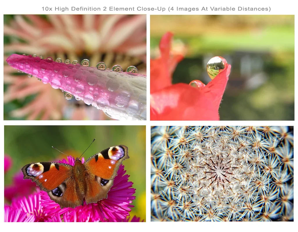 Alpha A3000 10x High Definition 2 Element Close-Up (Macro) Lens (67mm)