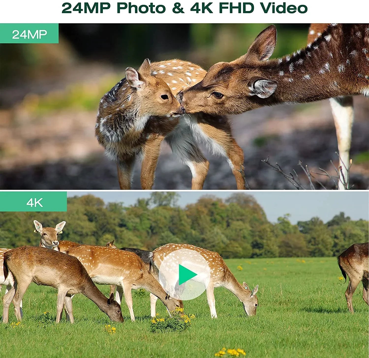 CAMPARK 42MP Native 4K 30fps Trail Game Camera WiFi Bluetooth Hunting Deer Camera with Night Vision 3 PIR Sensor Waterproof IP66 Motion Activated 120° Wide Angle Trail Cam for Wildlife Monitoring