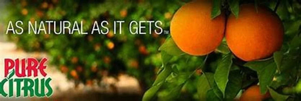Pure Citrus NA228-6 Non-Aerosol Air Freshener Spray, Refreshing Orange Scent, 4 fl oz (Pack of 6)